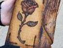 llibre i rosa
