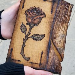 llibre i rosa