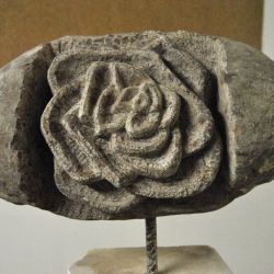 Stonerose