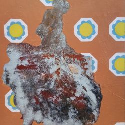bailaora flamenca