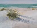 Dunes