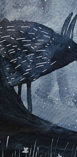 portada63