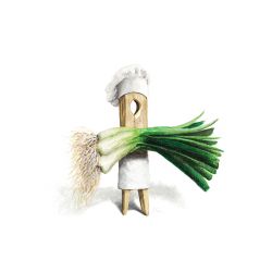 CALÇOT 24 x 24 x 3'5 cm