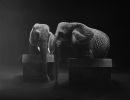 ZOO: ELEFANTS 130 x 162cm