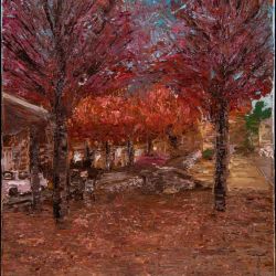 10 plac  a de les llu  drigues