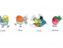 ocellets