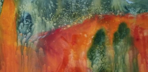 explosio de la naturax35