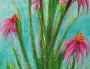 Echinacea 75 cm x 25 cm
