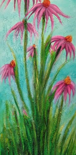 Echinacea 75 cm x 25 cm