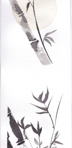 bambu tinta