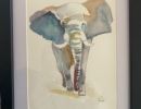 Elefant multicolor