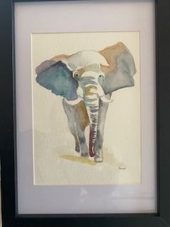 Elefant multicolor