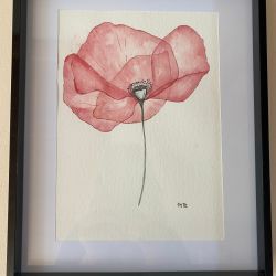 Delicadesa