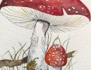 Amanita