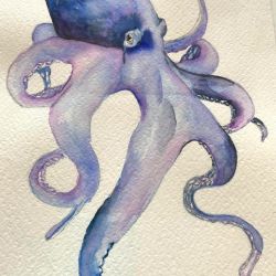 Octopus