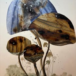 El creixement dels fongs