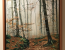 fageda