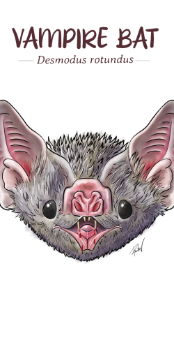 23a34bee fa8a 469e b4ecc1eac013f3