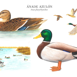 36d27185 093e 456d 9898e388c7