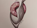 img 20220826