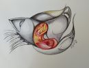img 20220826