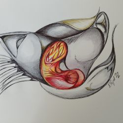 img 20220826